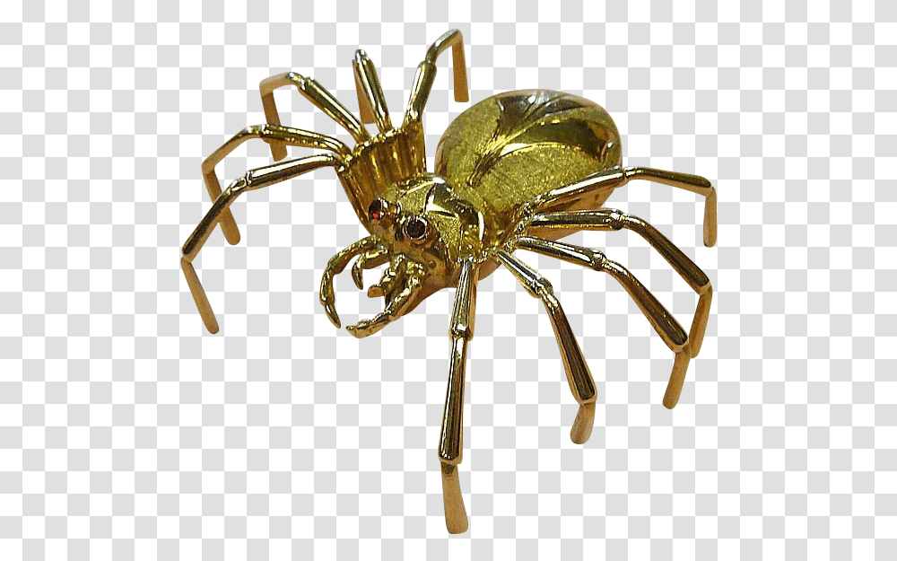 European Garden Spider, Animal, Invertebrate, Arachnid, Insect Transparent Png