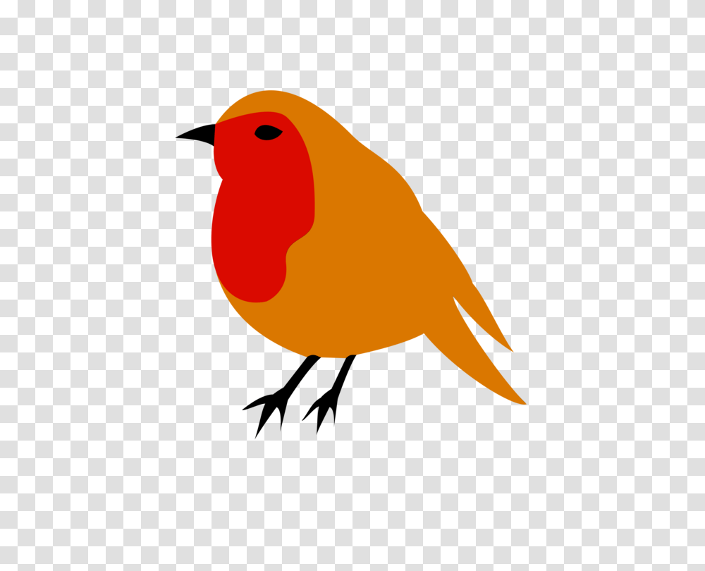 European Robin American Robin Bird Drawing Clip Art Christmas Free, Animal, Canary, Finch Transparent Png