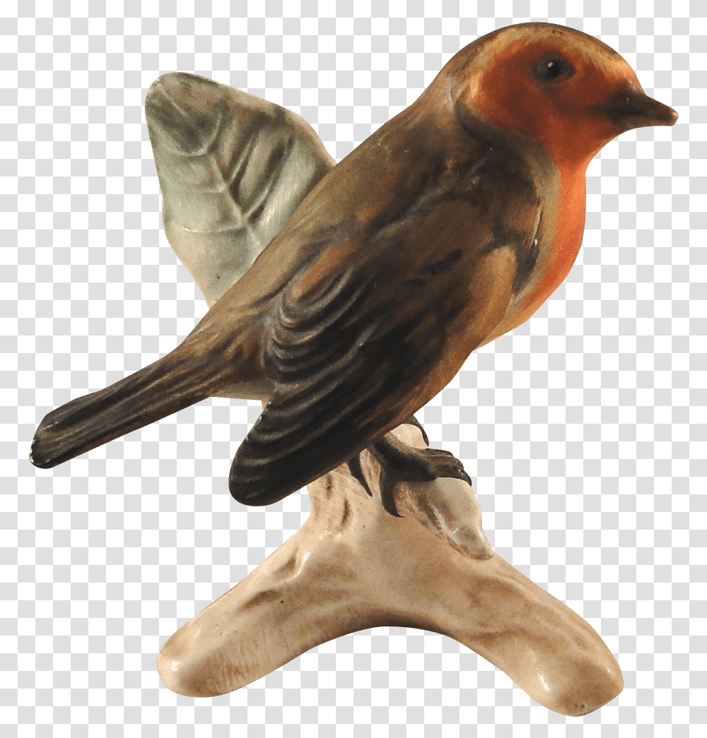 European Robin, Bird, Animal, Blackbird, Agelaius Transparent Png
