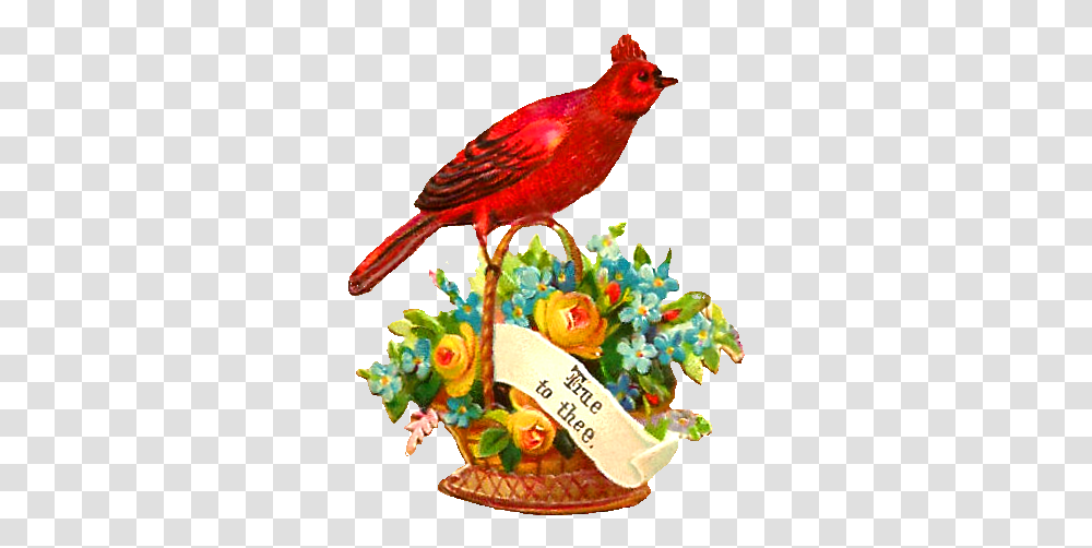 European Robin, Bird, Animal, Cardinal, Canary Transparent Png
