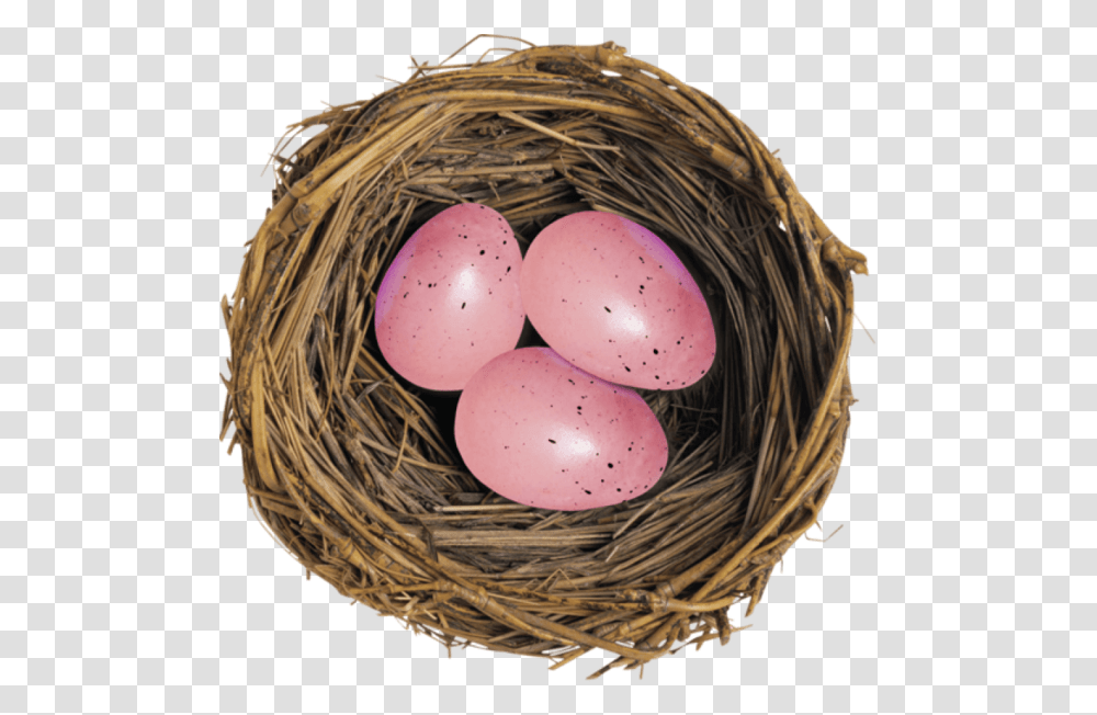 European Robin Bird Nest Egg For Easter 850x837 Eggs In A Group, Food Transparent Png