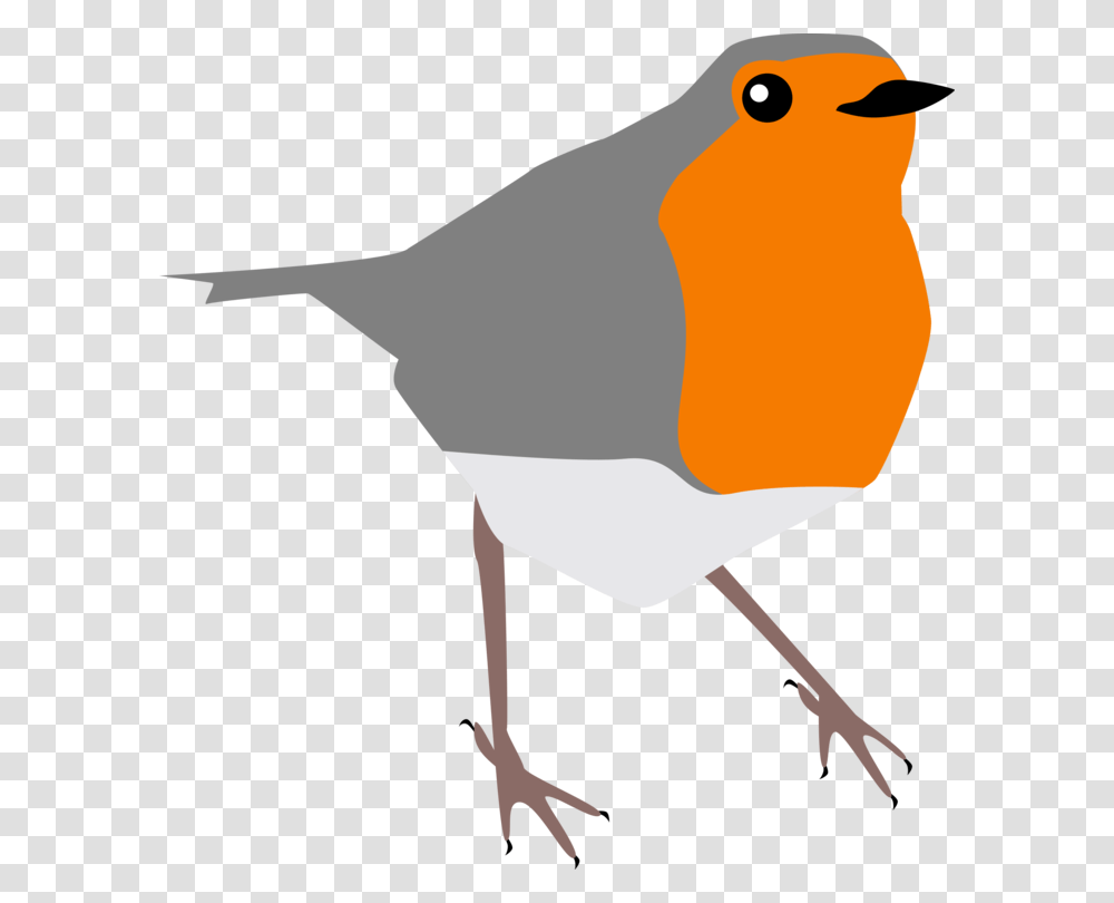 European Robin Drawing Istock Common Nightingale Bird Free, Animal, Person, Human, Canary Transparent Png