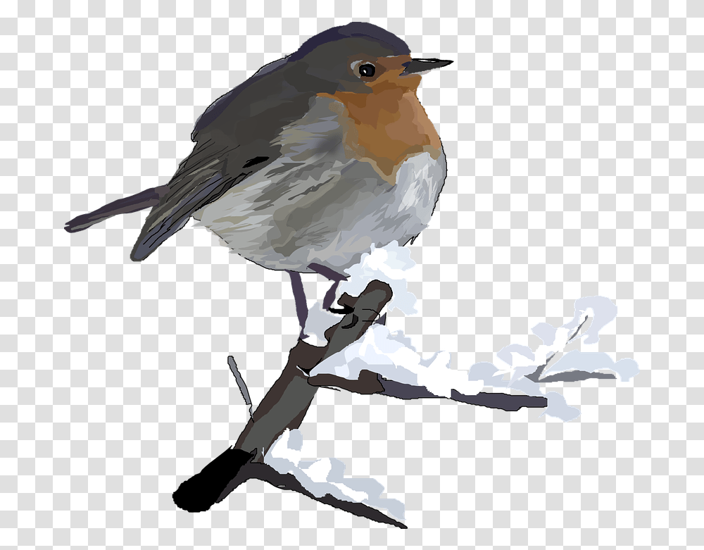 European Robin Images Winter Birds Clip Art, Animal, Jay, Blue Jay, Bluebird Transparent Png