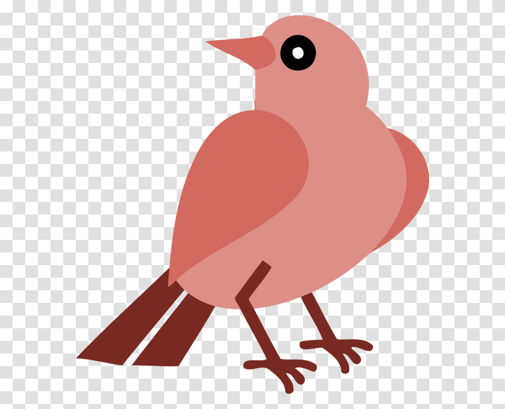 European Robin Silhouette Bird Beak, Animal, Cardinal, Finch, Snowman Transparent Png