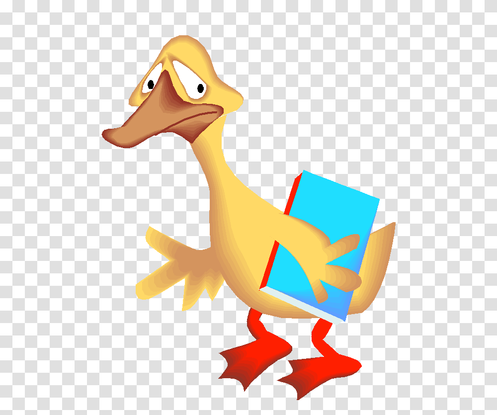 Evaluating Health Information, Bird, Animal, Dodo, Duck Transparent Png