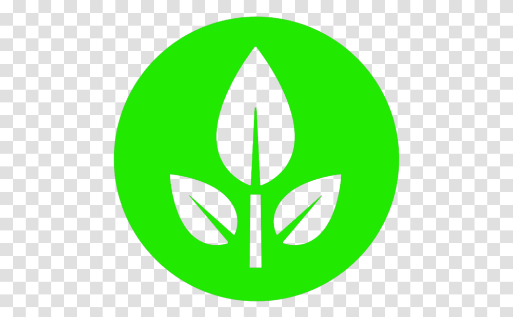 Eve Plant Wall E, Logo, Trademark, Emblem Transparent Png