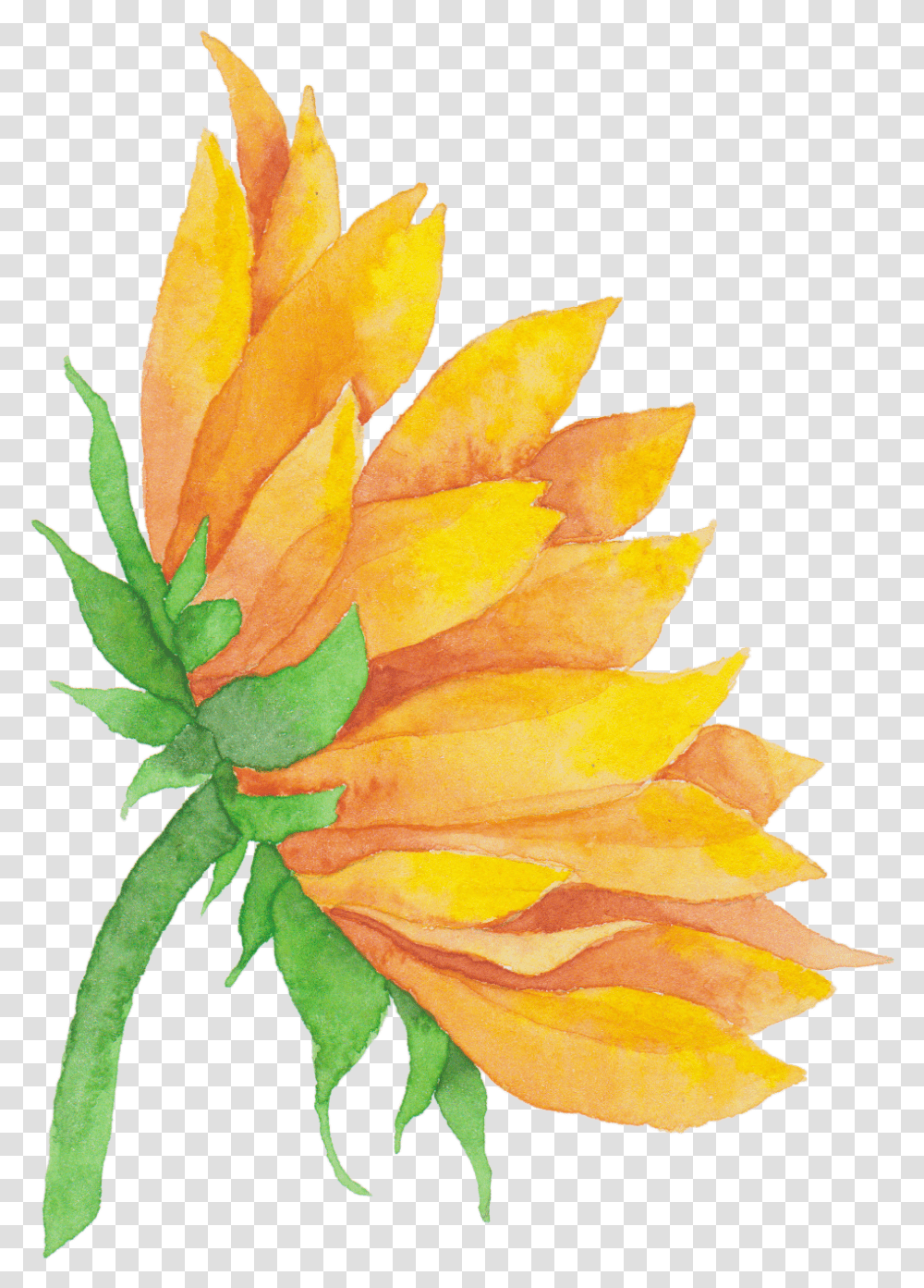 Even The Nice One Has Limits Cat Sunflower, Leaf, Plant, Blossom, Tree Transparent Png