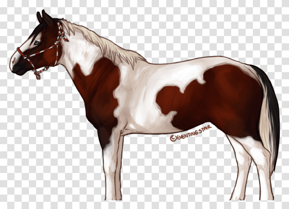 Eventingstar Horse Sim Game Indiegogo Horse Star Stable, Mammal, Animal, Colt Horse, Stallion Transparent Png