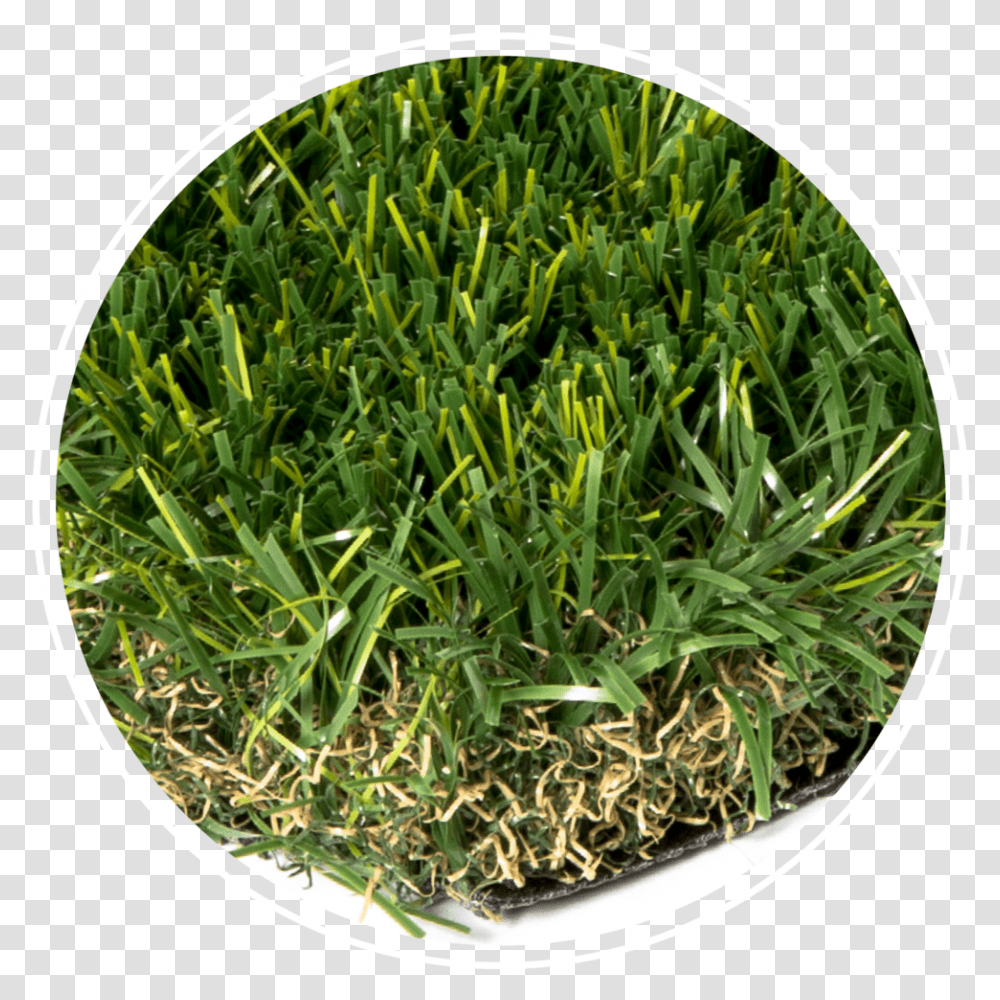 Everblade Artificial Turf, Plant, Produce, Food, Vegetable Transparent Png