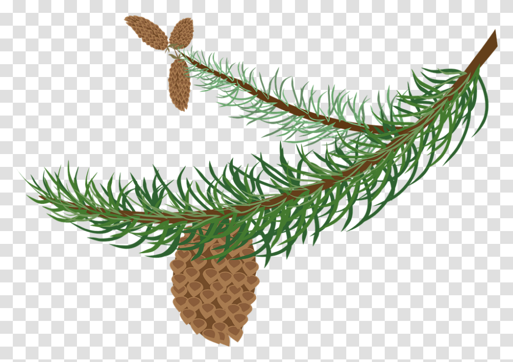 Evergeen Branches Clipart Background Clipart Winter Tree Branch, Plant, Conifer, Larch, Spruce Transparent Png