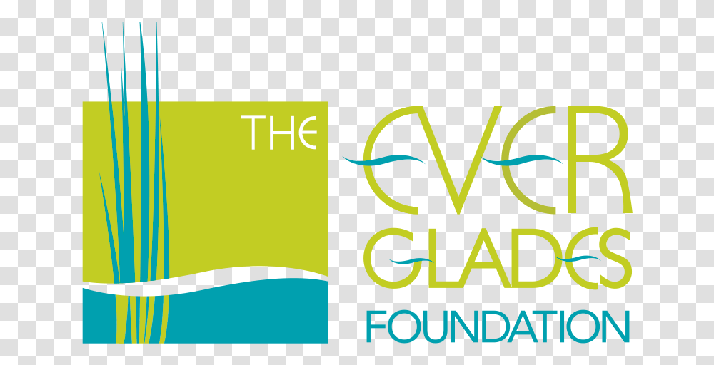 Everglades Foundation, Alphabet, Paper Transparent Png