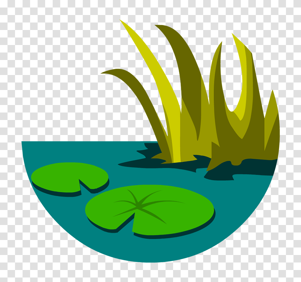 Everglades, Green, Vegetation, Plant, Leaf Transparent Png