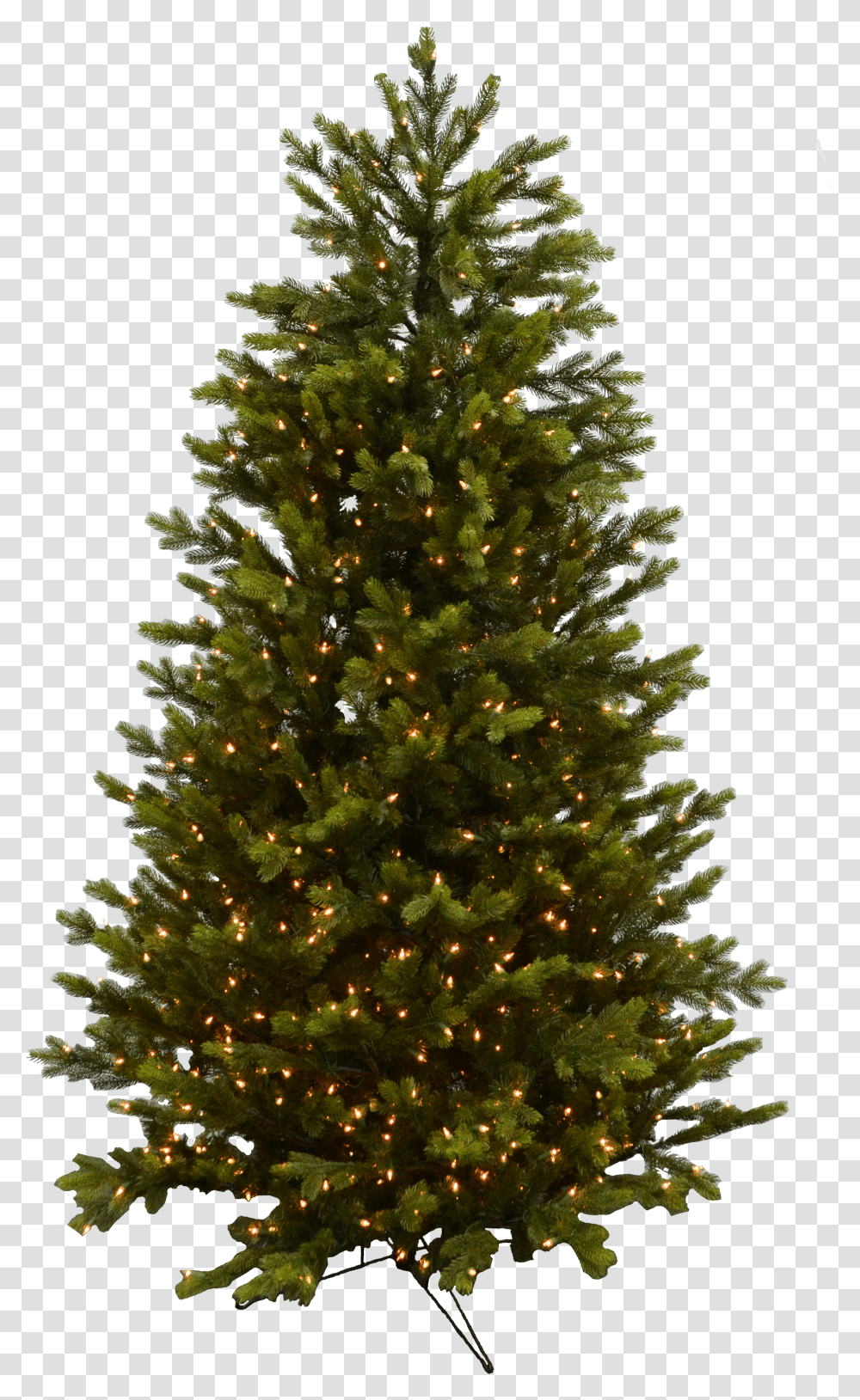 Evergreen Branch Alexa Christmas Tree Transparent Png