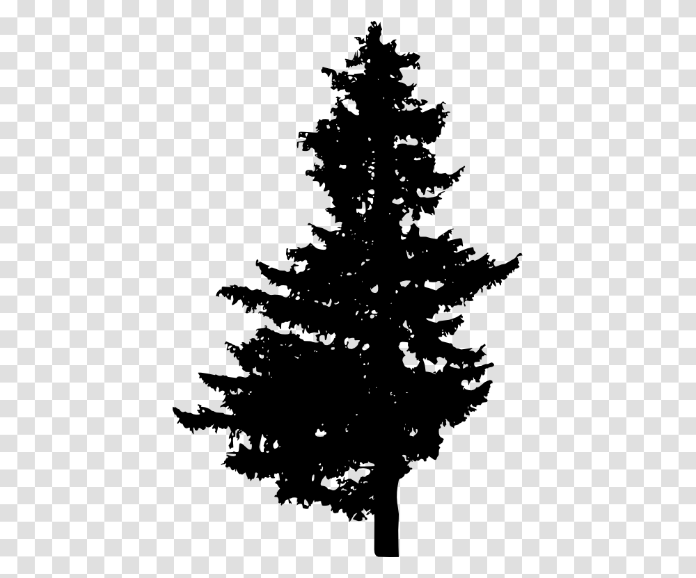 Evergreen Branch, Christmas Tree, Ornament, Plant, Silhouette Transparent Png