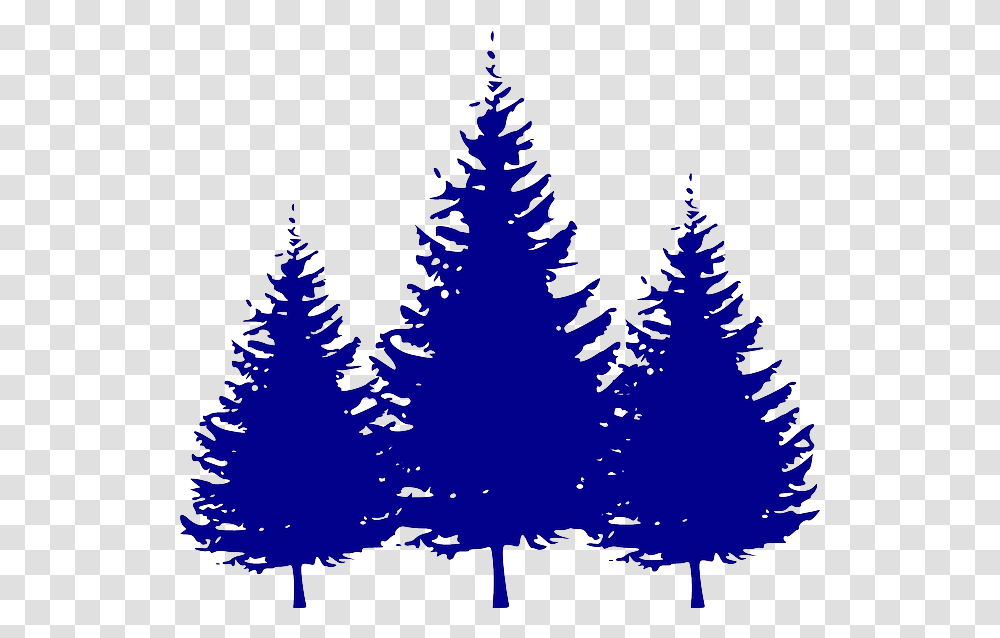 Evergreen Branch Clip Art Christmas Tree Red Pine Tree Silhouette, Plant, Ornament, Fir, Abies Transparent Png