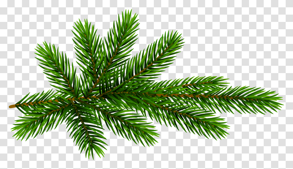 Evergreen Branch Picture 1832705 Christmas Pine Tree Branch Transparent Png