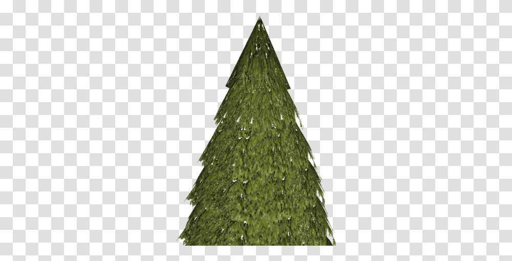 Evergreen Christmas Tree, Plant, Bush, Vegetation, Animal Transparent Png