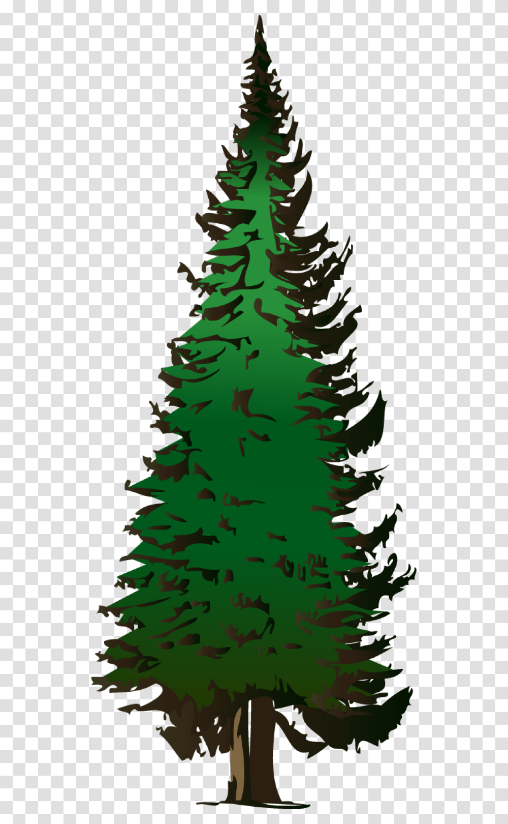 Evergreen Clipart, Tree, Plant, Ornament, Christmas Tree Transparent Png