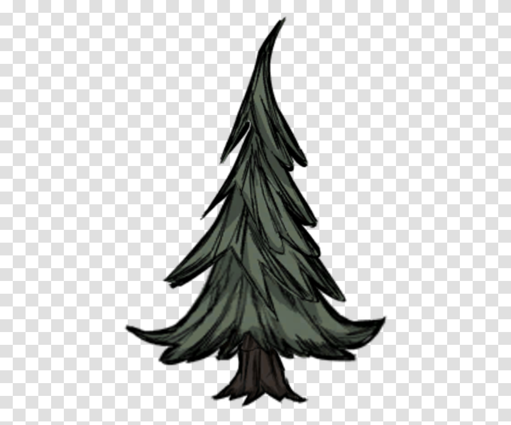 Evergreen, Clothing, Plant, Bird, Animal Transparent Png