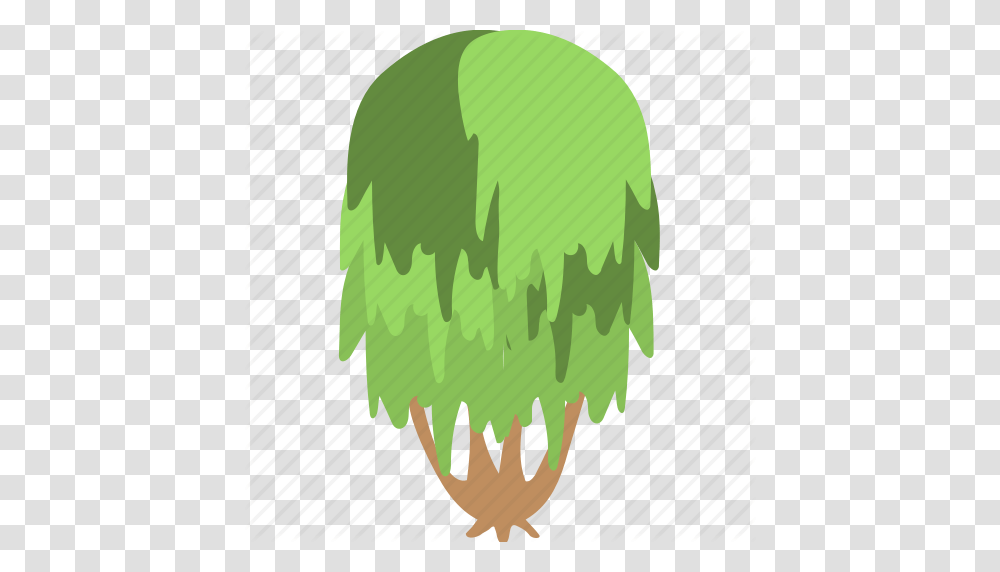 Evergreen Foliage Greenery Nature Weeping Willow Icon, Vegetation, Plant, Land Transparent Png