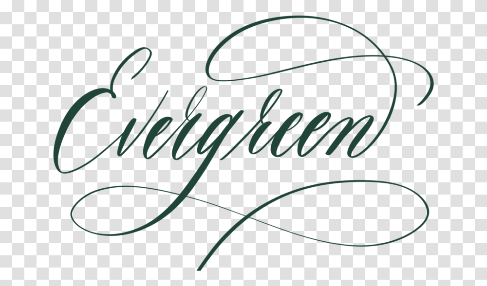 Evergreen In Calligraphy Calligraphy, Handwriting, Word, Alphabet Transparent Png