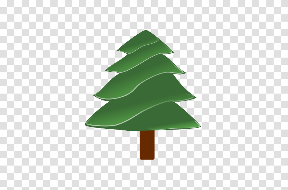 Evergreen Large Size, Plant, Lamp, Tree, Fir Transparent Png