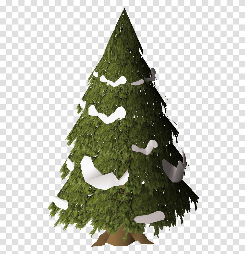 Evergreen Osrs Wiki Christmas Tree, Plant, Ornament, Bird, Animal Transparent Png