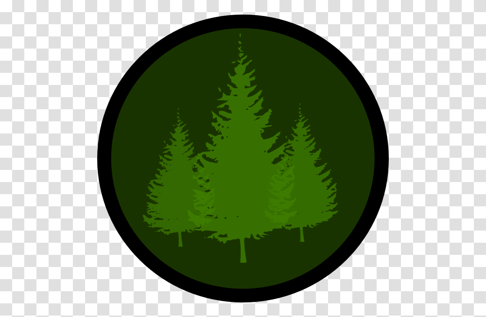Evergreen Symbol Clip Art, Tree, Plant, Pine, Fir Transparent Png