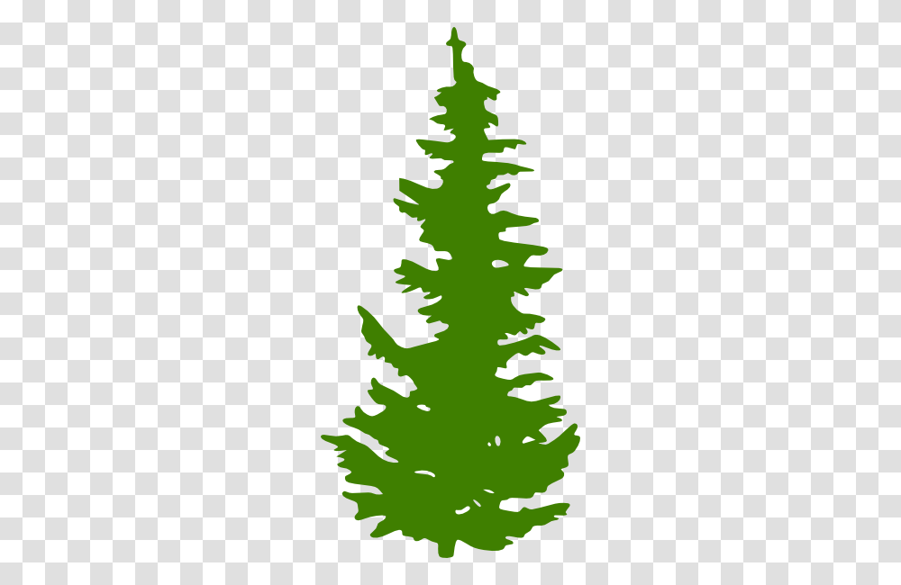 Evergreen Tree Clip Art, Christmas Tree, Plant, Leaf, Fir Transparent Png