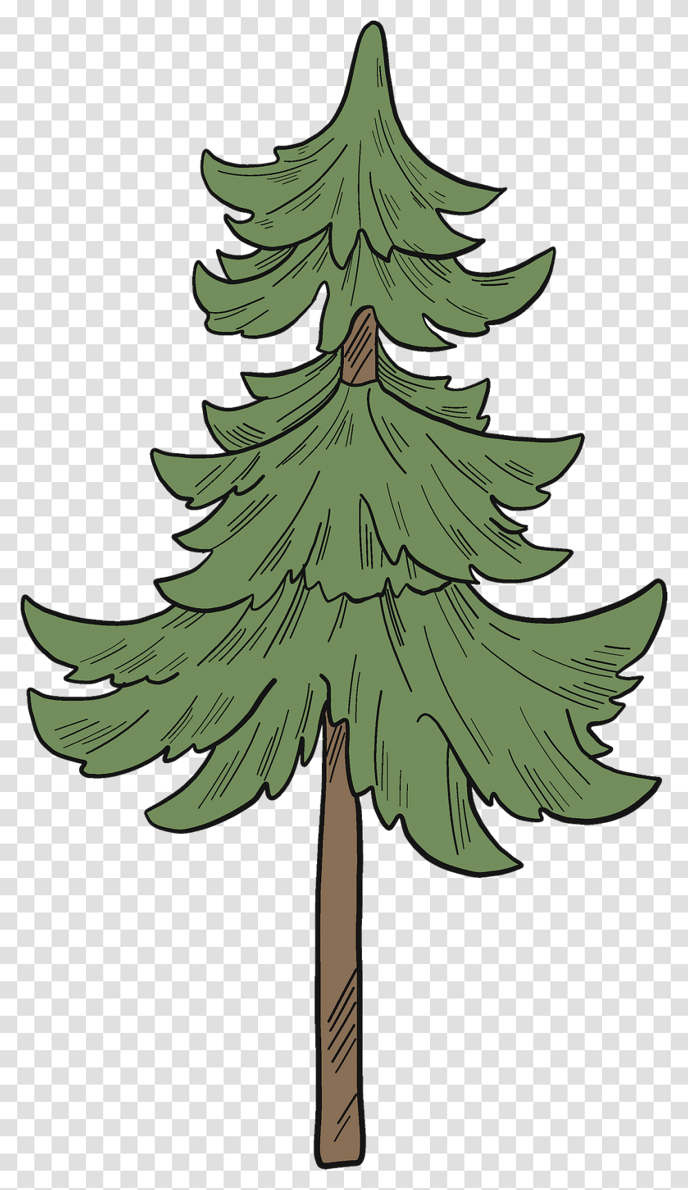 Evergreen Tree Clipart Christmas Tree, Plant, Flower, Conifer, Ornament Transparent Png