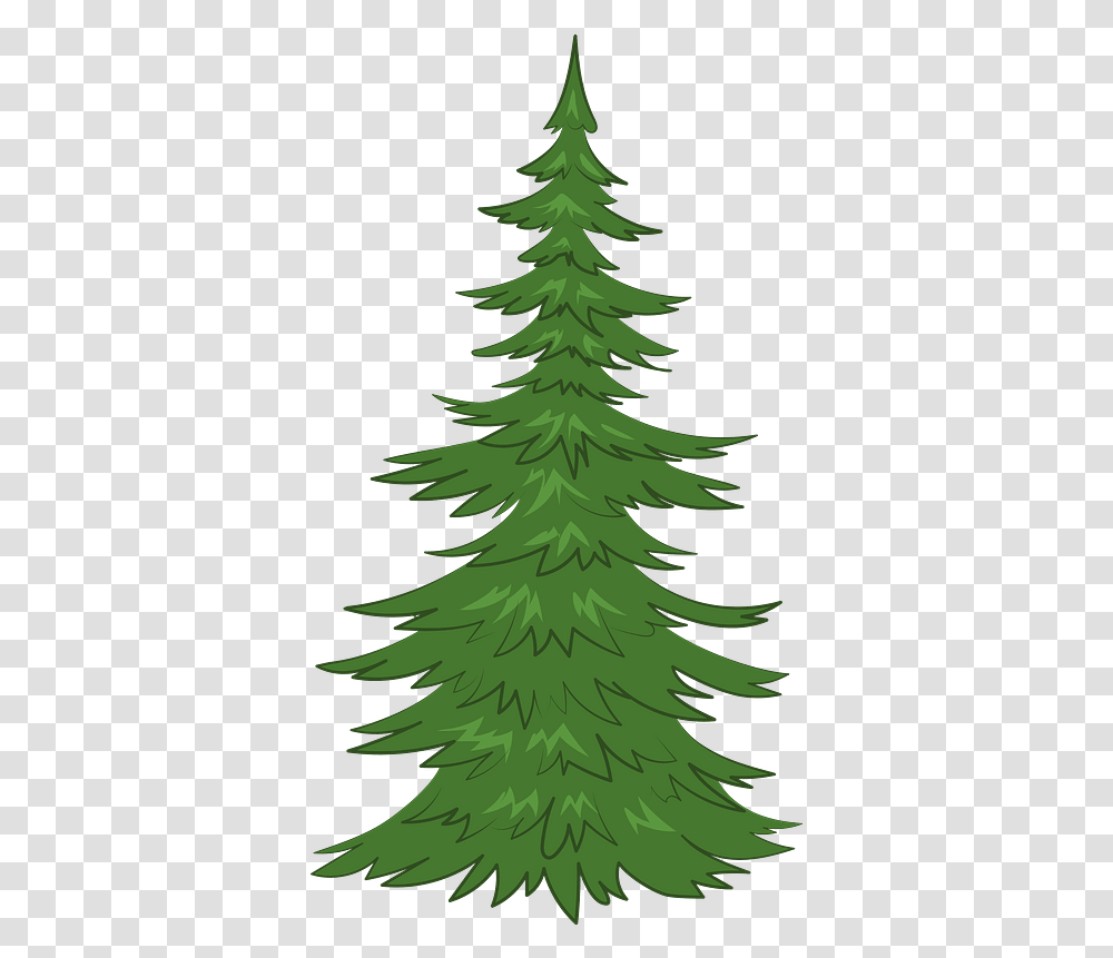 Evergreen Tree Clipart Pine Tree Clipart, Plant, Ornament, Christmas Tree, Conifer Transparent Png