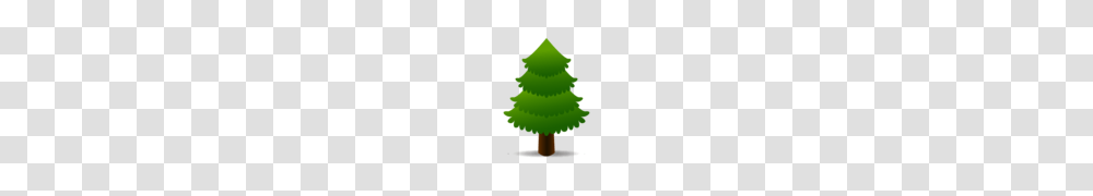 Evergreen Tree Emoji, Plant, Fir, Abies, Ornament Transparent Png