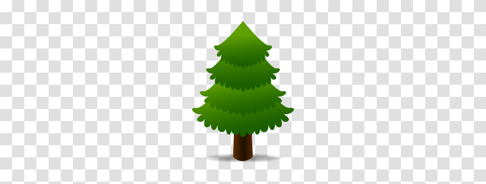 Evergreen Tree Emojidex, Plant, Ornament, Lamp, Christmas Tree Transparent Png