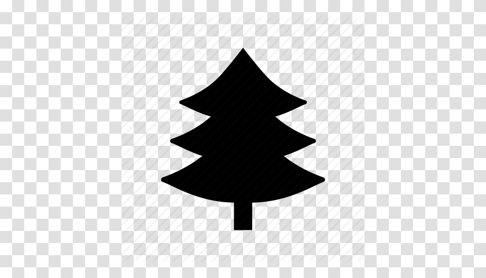 Evergreen Tree Fir Tree Pinetree Tree True Pine Icon, Piano, Leisure Activities, Musical Instrument, Plant Transparent Png