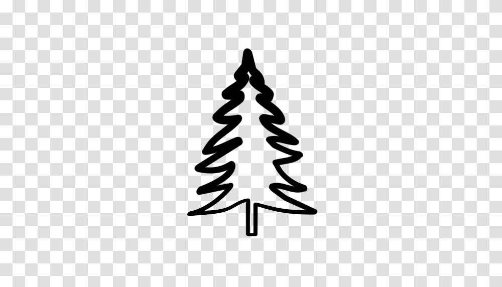 Evergreen Tree Outline Gallery Images, Cross, Arrow, Stencil Transparent Png