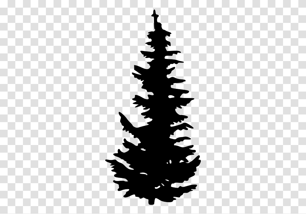 Evergreen Tree Pine Clip Art Vector Evergreen Tree Silhouette, Gray Transparent Png