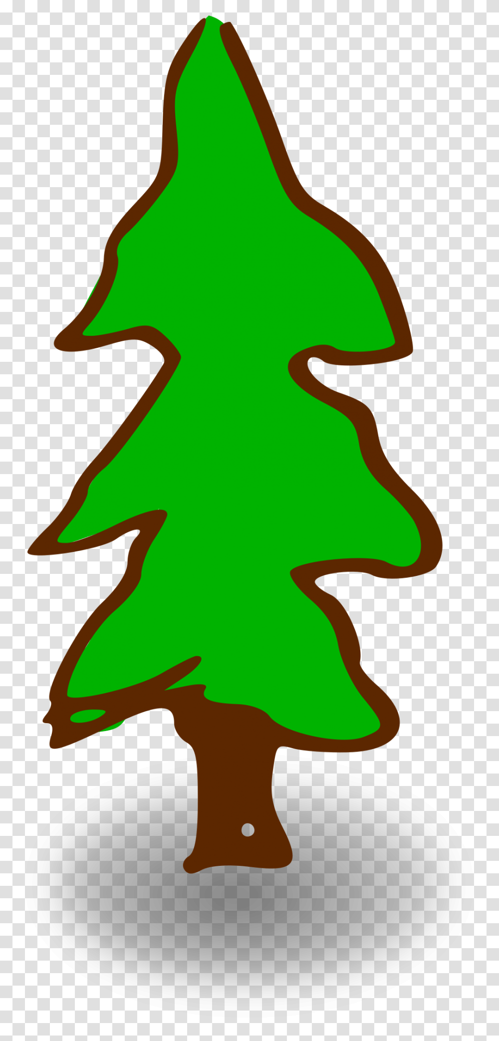 Evergreen, Tree, Plant, Leaf, Star Symbol Transparent Png