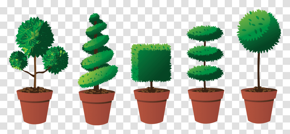 Evergreen Trees How To Trim A Topiary Tree Into A Landscaping Topiary, Plant, Aloe, Cactus, Symbol Transparent Png