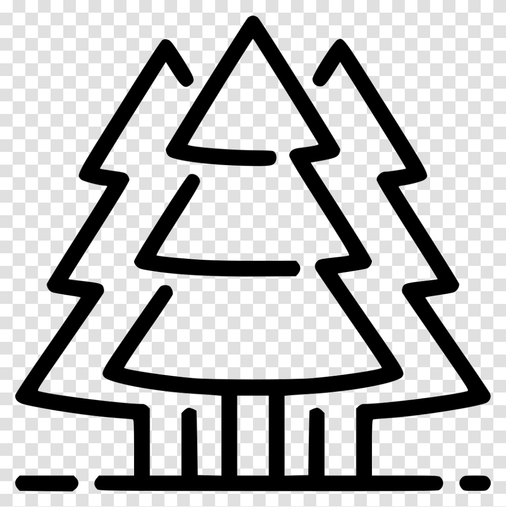 Evergreen Trees Icon Free Download, Plant, Fir, Abies Transparent Png