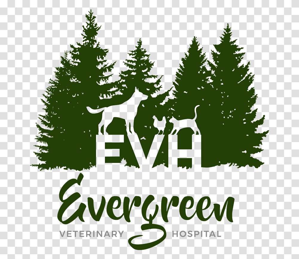 Evergreen Veterinary Hospital Illustration, Vegetation, Plant, Tree, Poster Transparent Png