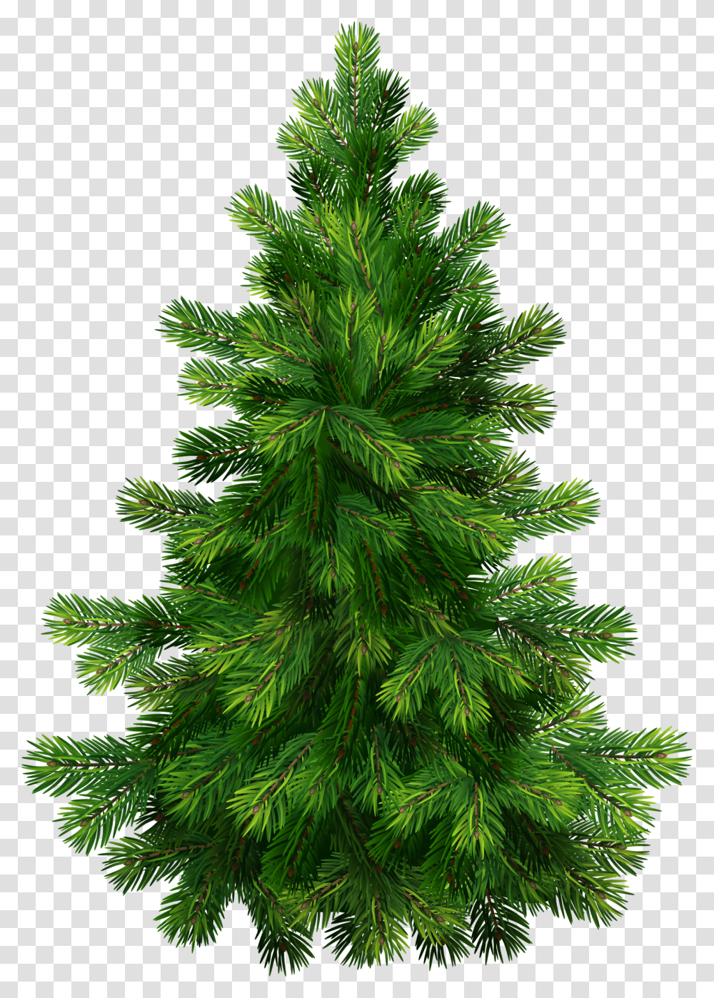 Evergreens With Pine Cones Clipart Christmas Tree Vector, Ornament, Plant, Conifer, Grass Transparent Png
