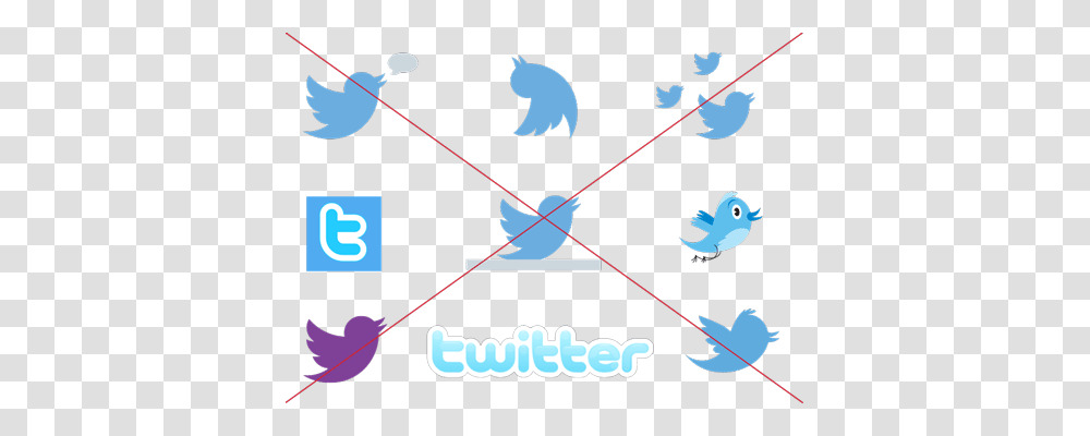 Every Social Media Logo You May Want, Nature, Bird, Outdoors, Water Transparent Png