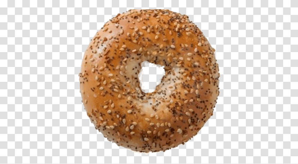 Everything Bagel Rahway Bagels, Bread, Food, Fungus Transparent Png