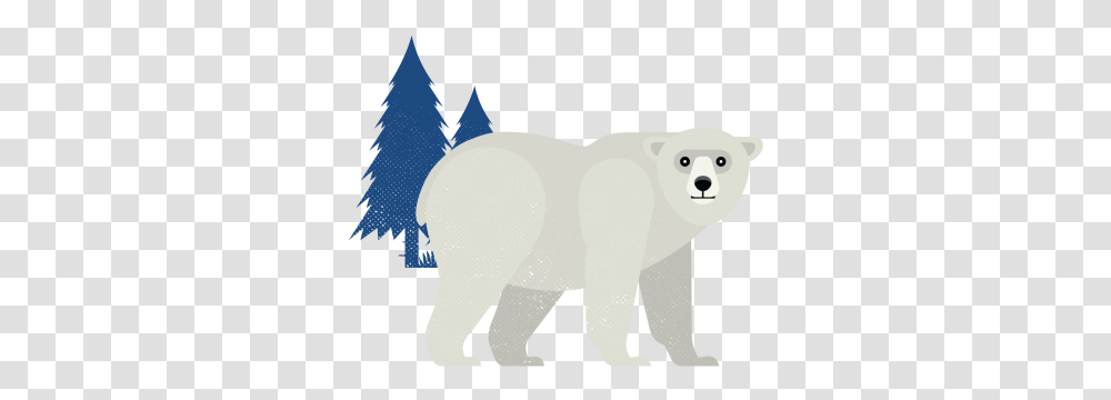 Everything Churchill See Polar Bears Belugas Northern Animal Figure, Wildlife, Mammal Transparent Png