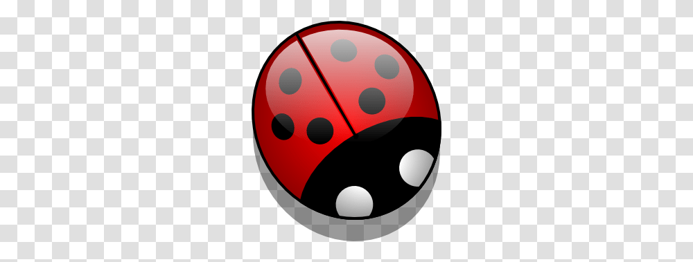 Everything Ladybug The Source For Ladybug Stuff, Ball, Sport, Sports, Sphere Transparent Png