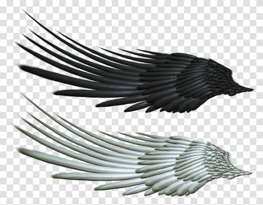 Evil Clipart Raven Horse Wings, Eagle, Bird, Animal, Flying Transparent Png
