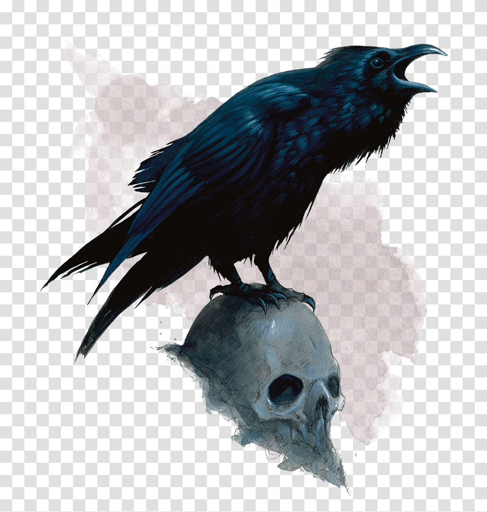 Evil Raven, Bird, Animal, Crow, Blackbird Transparent Png
