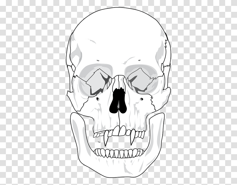 Evil Skull Devil Teeth Skeleton Scary Blank Human Skull Anatomy, Stencil, Helmet, Apparel Transparent Png