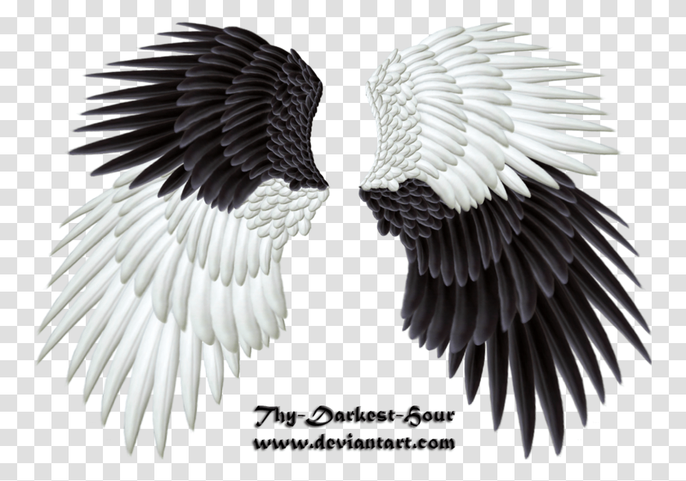 Evil Wings Angel Wings Good And Bad, Bird, Animal, Eagle Transparent Png