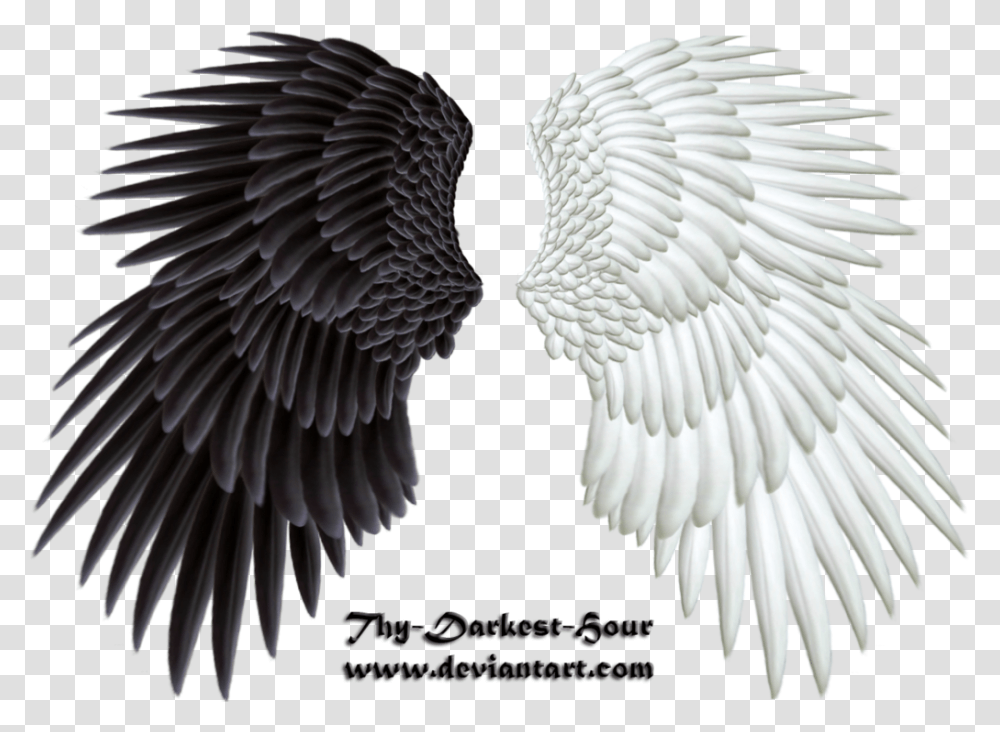 Evil Wings Light And Dark Wings, Bird, Animal, Eagle Transparent Png